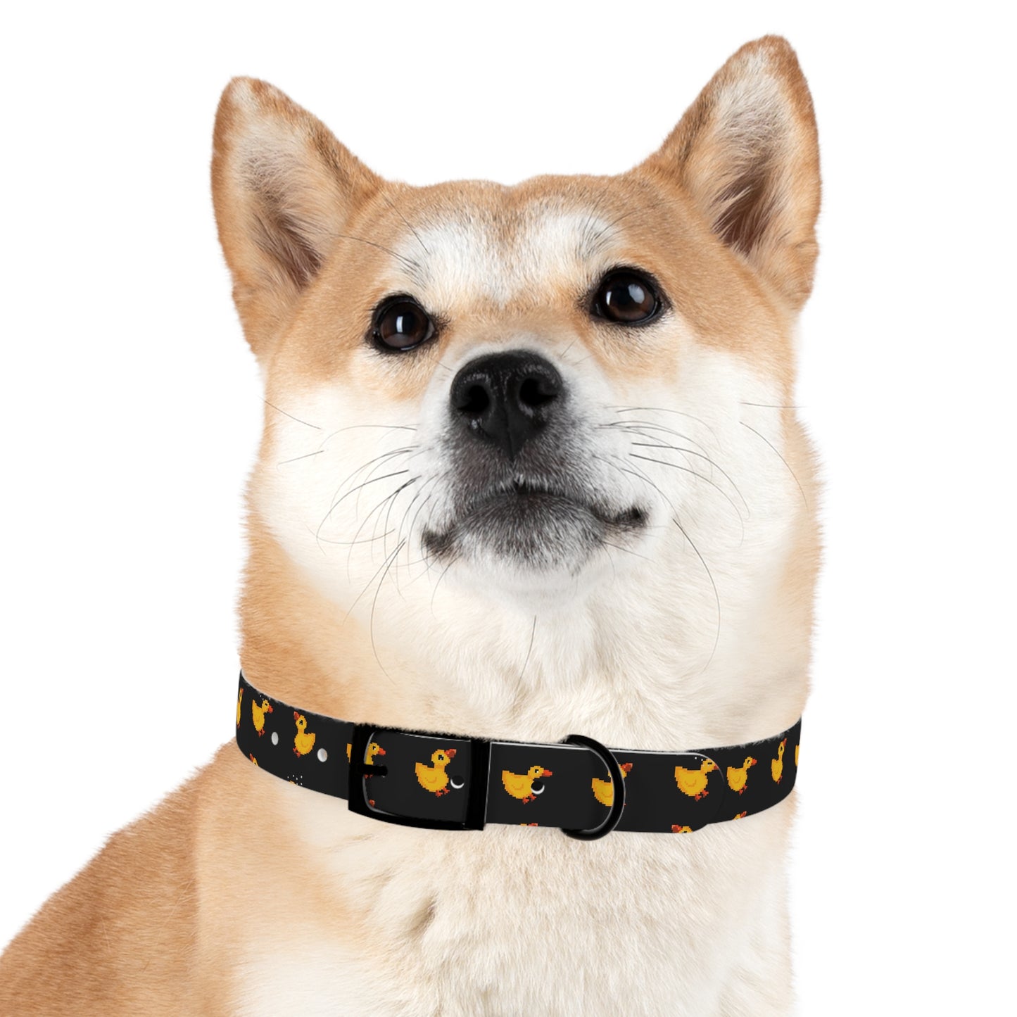 Duck Up - Collar